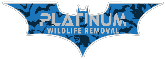 Monroe Bat Removal & Wildlife Control